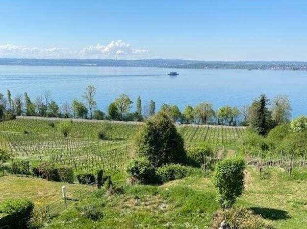 Wohnung zum Kauf 798.000 € 2,5 Zimmer 72 m² 1. Geschoss Meersburg Meersburg 88709