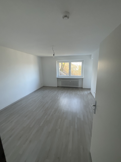 Wohnung zur Miete 519 € 2 Zimmer 60 m² 1. Geschoss Heckenbergstraße 42 Geisweid Siegen 57078