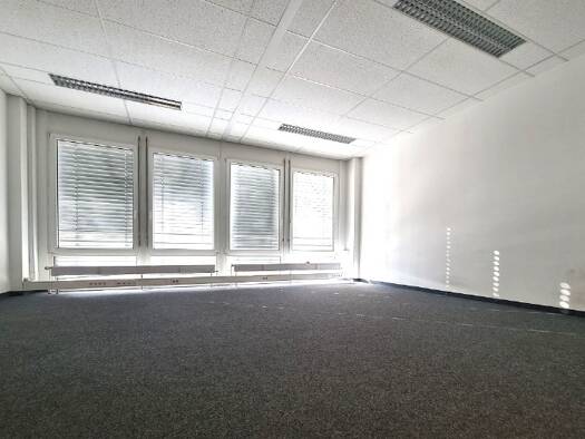 Büro zur Miete provisionsfrei 170 m² Bürofläche teilbar ab 170 m² Thalk.Obersendl.-Forsten-Fürstenr.-Solln München 81379