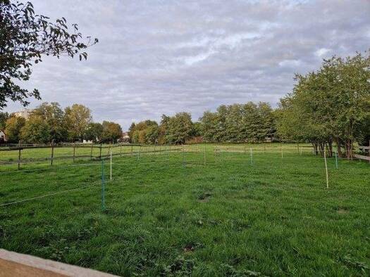 Grundstück zum Kauf 447.000 € 401 m² Grundstück Kapellenstraße 47 Bad Krozingen 79189