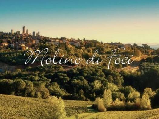 Hotel zum Kauf 3.200.000 € 16 Zimmer 170 m² Gastrofläche 40.000 m² Grundstück San Gimignano 53037