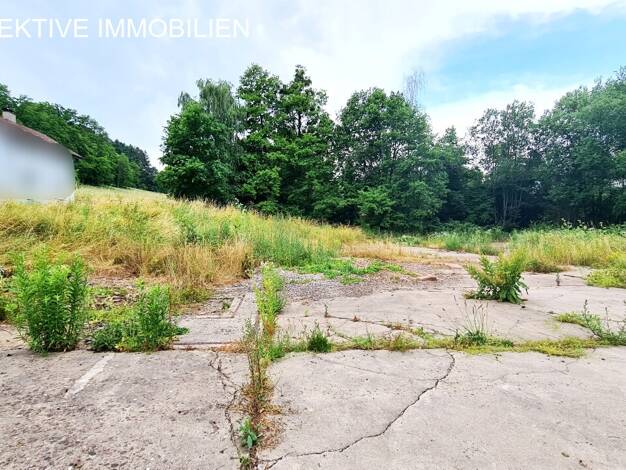 Grundstück zum Kauf 420.000 € 4.522 m² Grundstück Ferdinand-Creutz-Straße Steinbach Michelstadt 64720