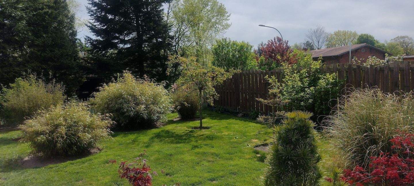 Immobilie in Stedesand - "Provisionsfrei" Traumhaft schöner großzügiger Bungalow mit märchenhaftem Garten Bj. 2011 und vielseitig nutzbarem ca. 55 m² Nebengebäude - Bild 1