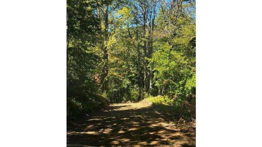 Büro zum Kauf 23.000.000 € Curarrehue