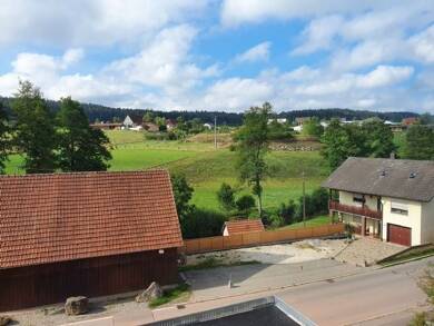 Wohnung zur Miete 1.228 € 4 Zimmer 117 m² EG frei ab sofort Schabenhausen Niedereschach 78078