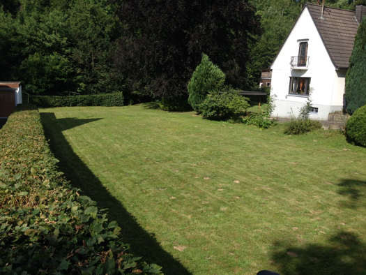 Grundstück zum Kauf 99.000 € 755 m² Grundstück Baugenehmigung vorhanden Othestraße 65 Bergneustadt 51702