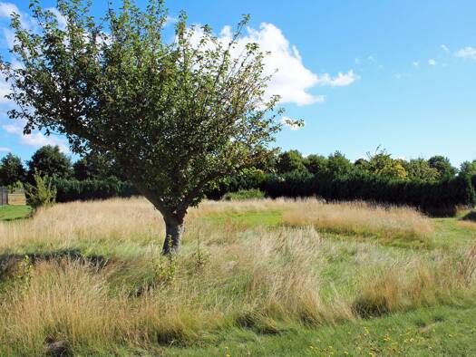 Grundstück zum Kauf 320.000 € 1.100 m² Grundstück Born a. Darß 18375