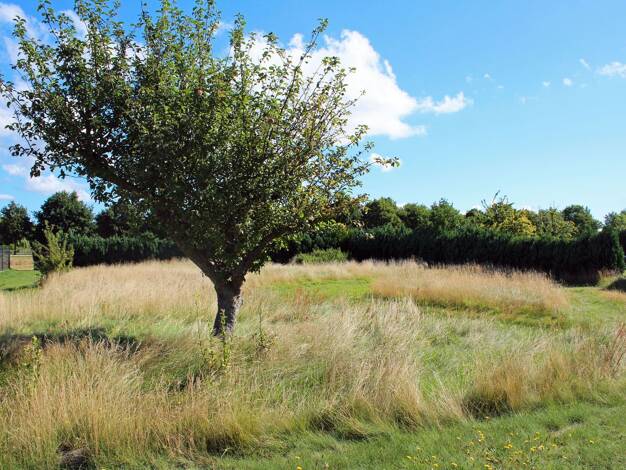 Grundstück zum Kauf 320.000 € 1.100 m² Grundstück Born a. Darß 18375