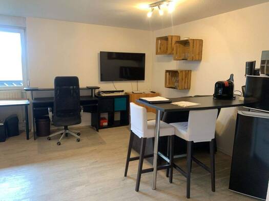 Studio zur Miete 450 € 1 Zimmer 43,7 m² 4. Geschoss frei ab sofort Enoch-Widman-Str. 88 Innenstadt Hof 95028