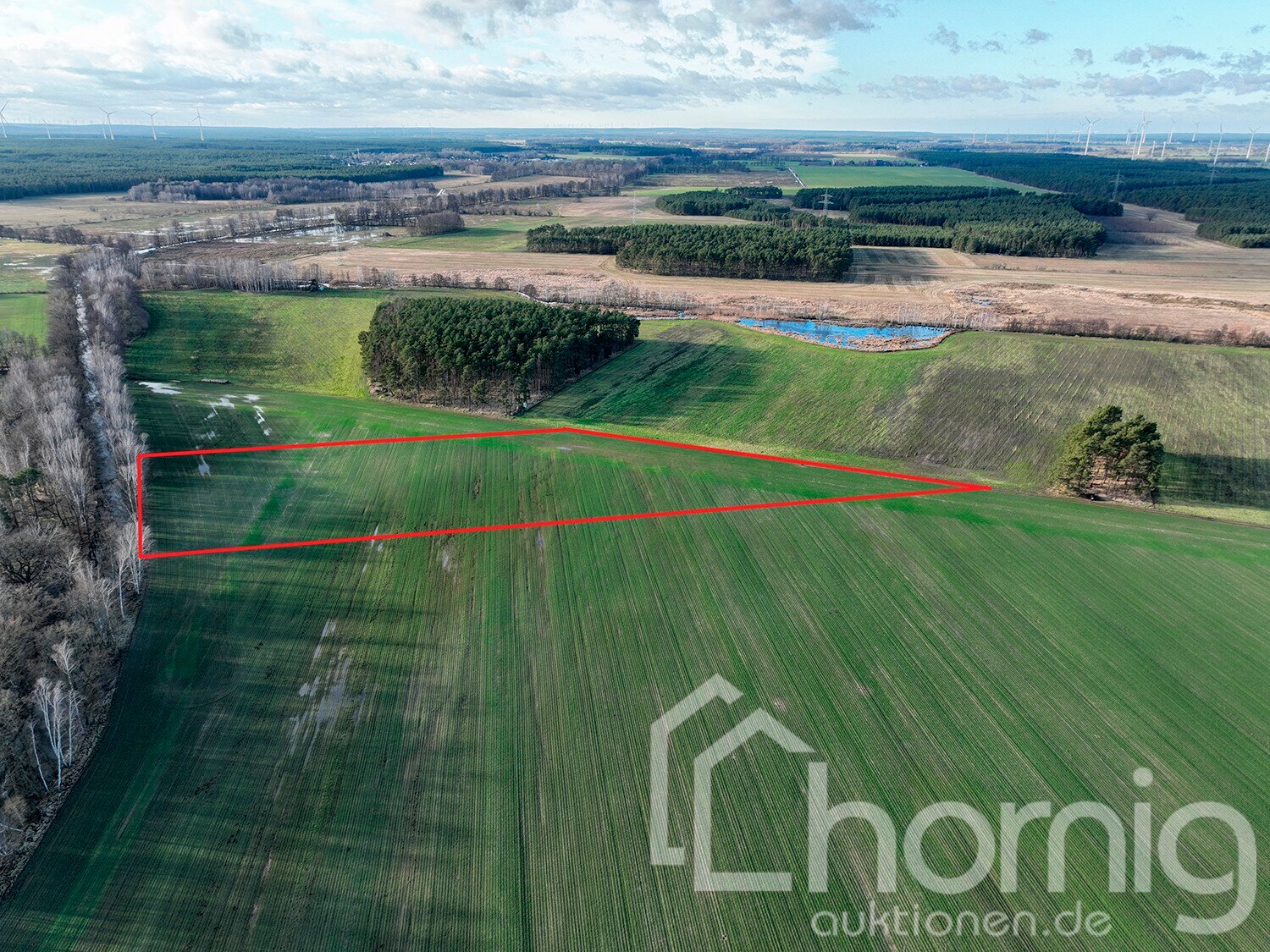 Land-/Forstwirtschaft zum Kauf 17.900 € 18.050 m²<br/>Grundstück Treppendorf Lübben (Spreewald) 15907