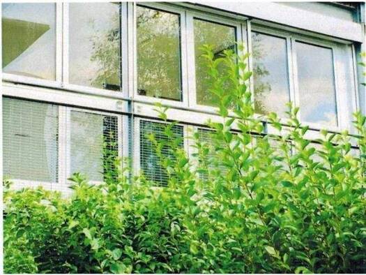 Studio zum Kauf 155.000 € 1 Zimmer 43 m² Innere Stadt Klagenfurt am WÃ¶rther See 9020