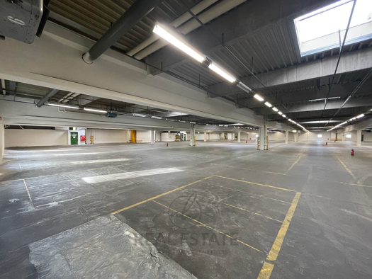 Lagerhalle zur Miete 3,90 € 5.000 m² Lagerfläche Billbrook Hamburg 22113