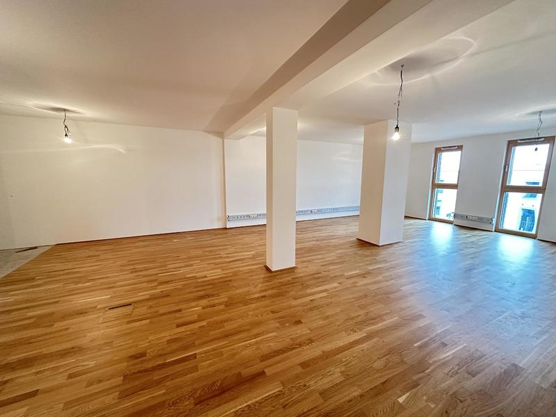 Bürofläche zur Miete 1.900 € 1 Zimmer 113,3 m²<br/>Bürofläche Eileen-Gray-Gasse 2 Wien 1220