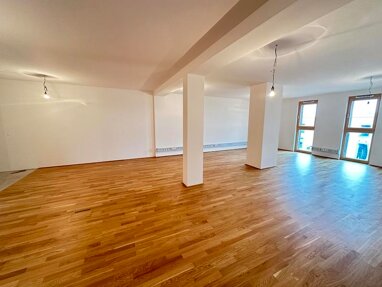 Bürofläche zur Miete 1.900 € 1 Zimmer 113,3 m² Bürofläche Eileen-Gray-Gasse 2 Wien 1220