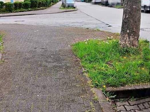 Grundstück zum Kauf 2.300.000 € 3.250 m² Grundstück Erbenheim Wiesbaden 65205