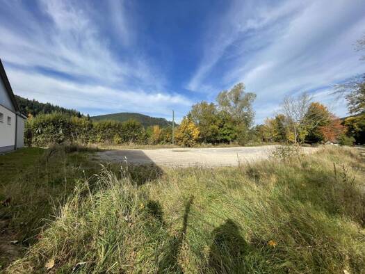 Gewerbegrundstück zum Kauf 416.000 € 2.969 m² Grundstück Röt Baiersbronn 72270