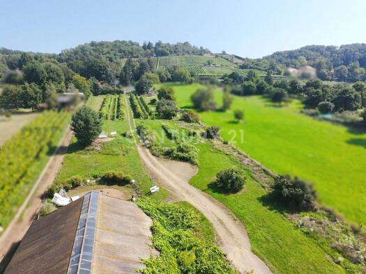 Weingut zur Miete 1.500 € 4.110 m² Grundstück Radebeul 01445