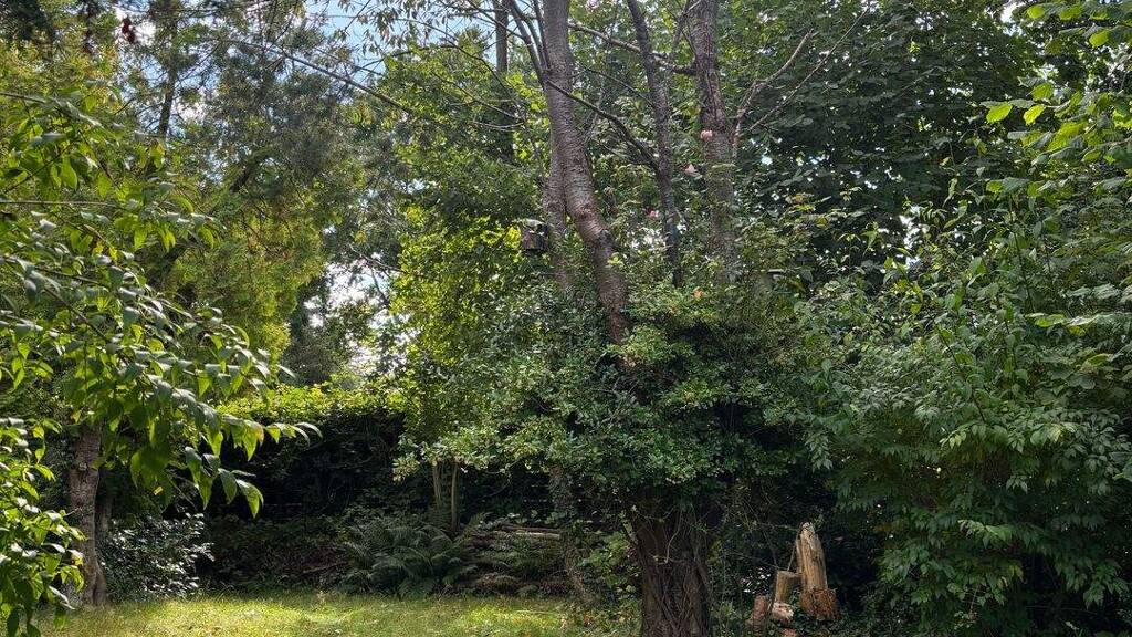 Grundstück zum Kauf 195.000 € 1.350 m² Grundstück Gartenstraße 23 Rendsburg 24768