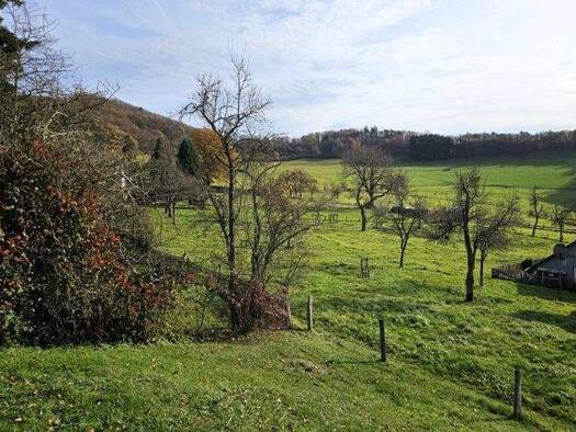 Wohnung zum Kauf 96.000 € 2 Zimmer 48 m² frei ab sofort Dedenborn Simmerath 52152