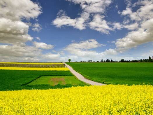 Landwirtschaftliche Fläche zum Kauf 218.500 € 18.208 m² Grundstück Großaitingen 86845