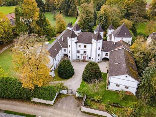 Schloss zum Kauf 4.490.000 € 17 Zimmer 900 m² 27.362 m² Grundstück Desselbrunn 4693