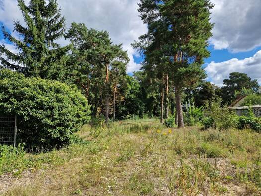 Grundstück zum Kauf 425.000 € 1.439 m² Grundstück Waldpromenade 19 Zeuthen 15738