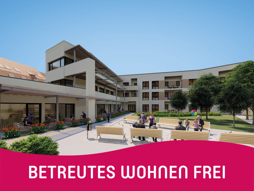 Wohnung zur Miete 400 € 2 Zimmer 42,2 m² EG frei ab sofort Oberstr. 35 Burg 39288