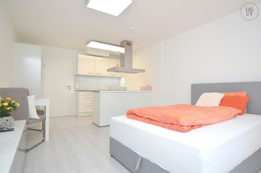 Wohnung zur Miete Wohnen auf Zeit 800 € 1 Zimmer 38 m²<br/>Wohnfläche 01.04.2025<br/>Verfügbarkeit Bärenschanze Nürnberg 90429