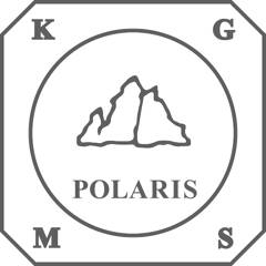 POLARIS Gesellschaft für Versicherungsvermittlung mbH- Versicherungsmakler logo