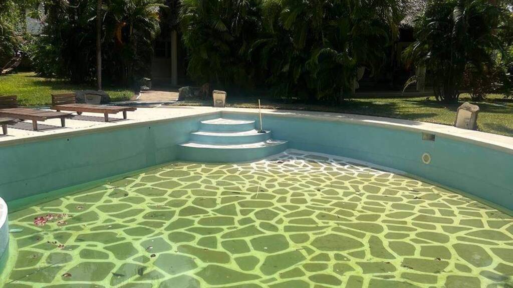 Haus zum Kauf 264.000 € 4 Zimmer 150 m² 1 m² Grundstück Malindi 802