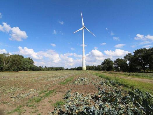 Land-/Forstwirtschaft zum Kauf 79.438 m² Grundstück Goldenstedt 49424