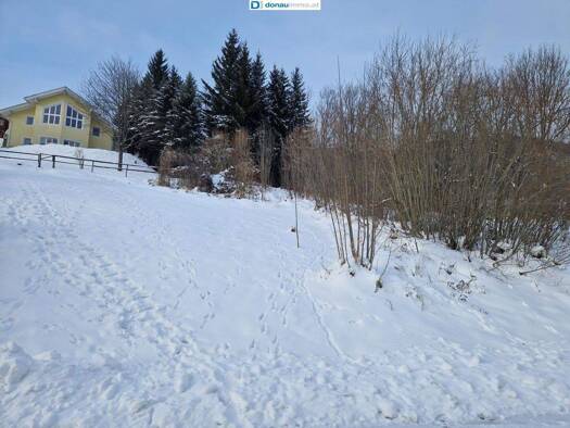 Grundstück zum Kauf 140.750 € 2.815 m² Grundstück Steinhaus am Semmering 8685