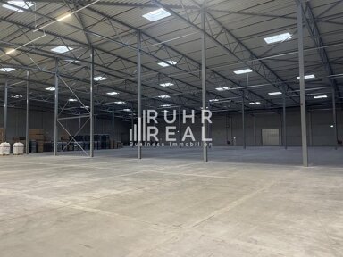 Lagerhalle zur Miete provisionsfrei 11.890 m² Lagerfläche teilbar ab 7.480 m² Buschdorf Bonn 53117