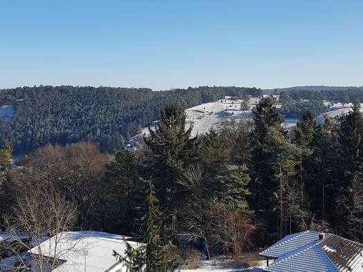 Wohnung zur Miete 590 € 2 Zimmer 64 m² Geschoss 6/7 frei ab 01.03.2026 Riedenburg 93339