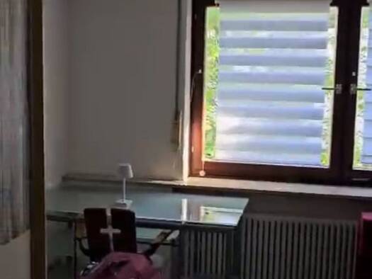 Wohnung zur Miete 400 € 1 Zimmer 20 m² frei ab sofort Weststadt Fürth 90766