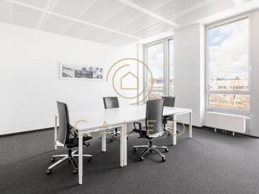 Bürofläche zur Miete provisionsfrei 45 m² Bürofläche teilbar ab 1 m² Schwanthalerhöhe München 80339