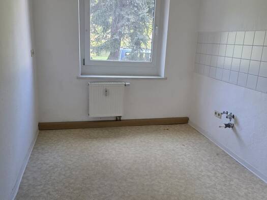 Wohnung zur Miete 320 € 2 Zimmer 45,8 m² EG frei ab sofort Weißenfels Weißenfels 06667