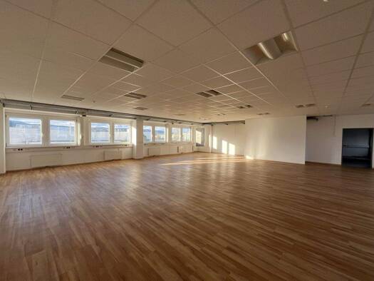 Bürofläche zur Miete 8 € 188 m² Bürofläche Wiener Neudorf 2351