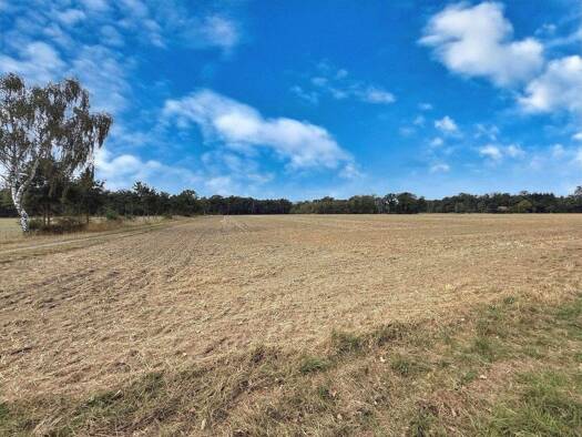 Land-/Forstwirtschaft zum Kauf 457.000 € 36.454 m² Grundstück Mariensee Neustadt 31535