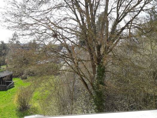 Wohnung zur Miete 850 € 3 Zimmer 75 m² Geschoss 2/3 frei ab sofort Friedenstrasse 16a Zirndorf 90513