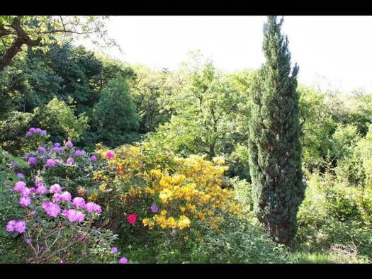 Einfamilienhaus zum Kauf provisionsfrei 1.200.000 € 3 Zimmer 90 m² 3.000 m² Grundstück Wien 1170