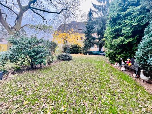 Wohnung zur Miete 597 € 2 Zimmer 51 m² Asternstraße 22 Bockum Krefeld / Bockum 47800