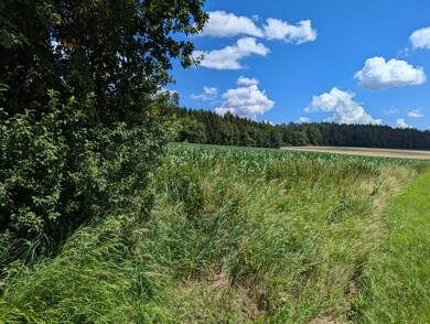 Grundstück zum Kauf provisionsfrei 400.000 € 1.495 m² Grundstück Betzenstein Betzenstein 91282