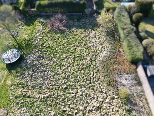 Grundstück zum Kauf 359.750 € 1.439 m² Grundstück Bockraden Ibbenbüren 49477