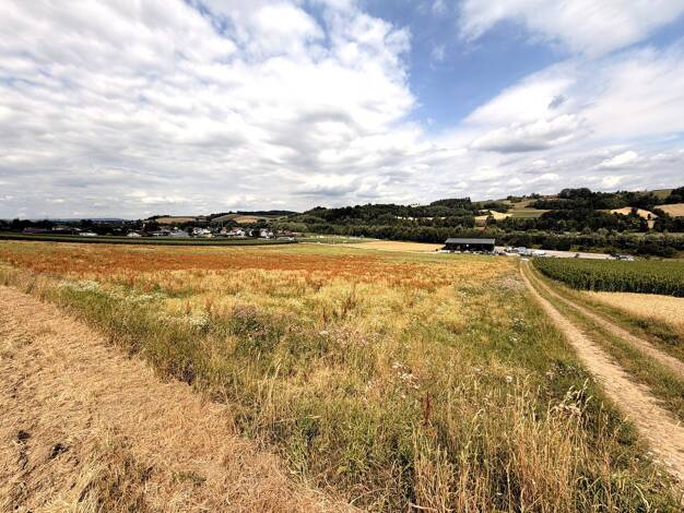 Gewerbegrundstück zum Kauf 5.545.000 € 27.725 m² Grundstück Kematen am Innbach 4633