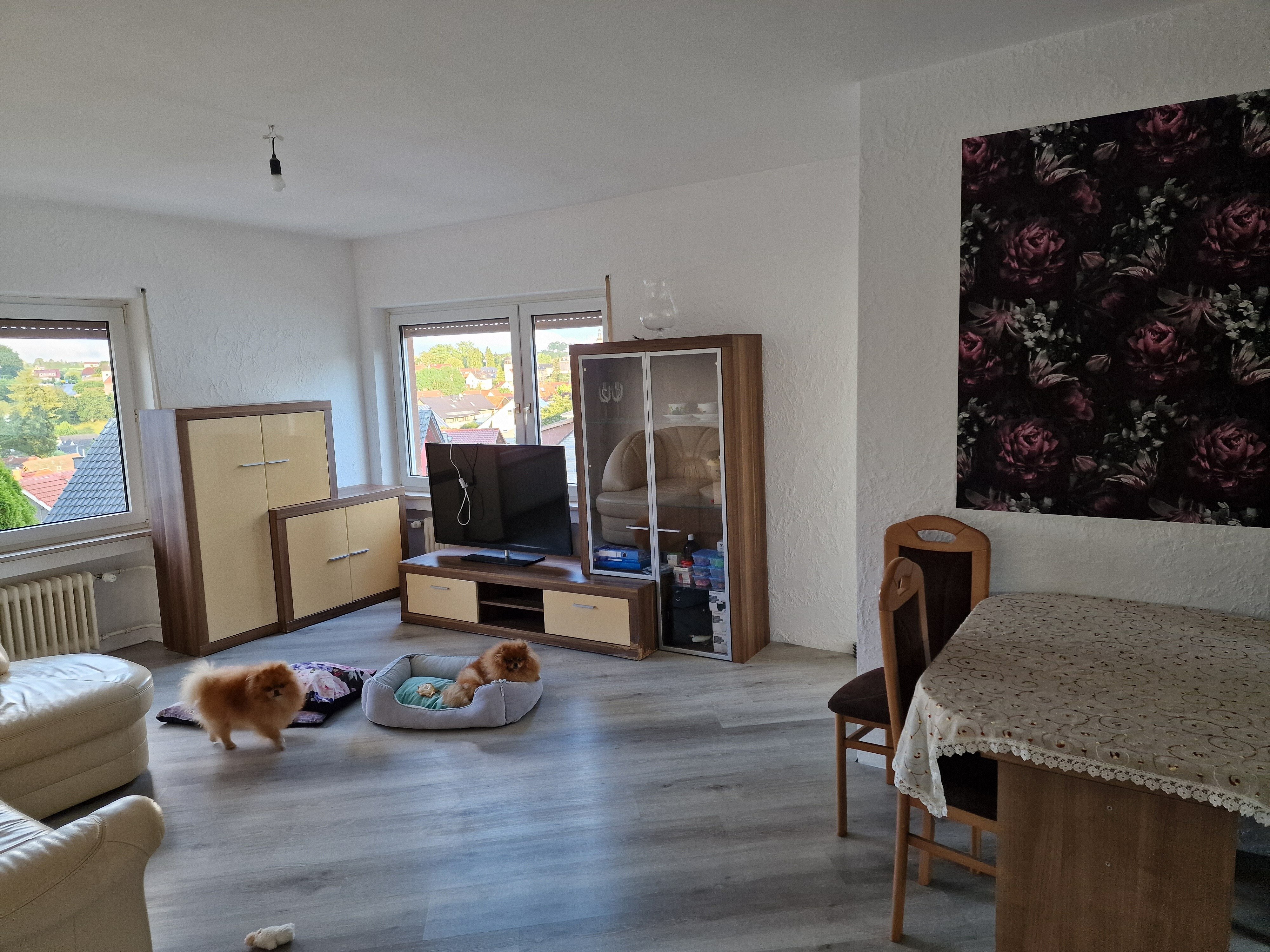 Mehrfamilienhaus zum Kauf provisionsfrei 340.000 € 6 Zimmer 150 m²<br/>Wohnfläche 962 m²<br/>Grundstück Birstein Birstein 63633