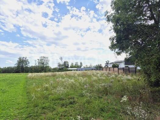 Grundstück zum Kauf 769.000 € 1.822 m² Grundstück Marchtrenk 4614