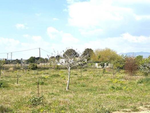 Acker-/Waldstück zum Kauf 49.900 € Santa Oliva 43710