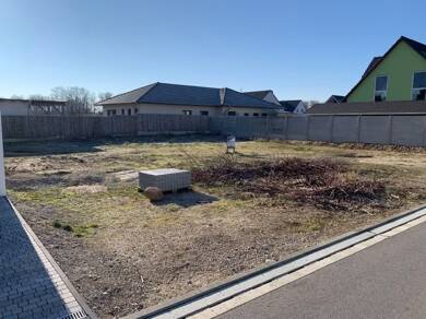 Grundstück zum Kauf 79.000 € 537 m² Grundstück Fliederweg Sandersdorf Sandersdorf-Brehna 06792