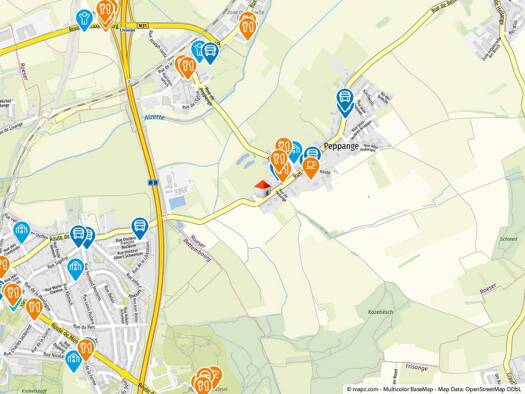 Grundstück zum Kauf provisionsfrei 553.000 € 488 m² Grundstück rue de Crauthem 44 Peppange L-3390